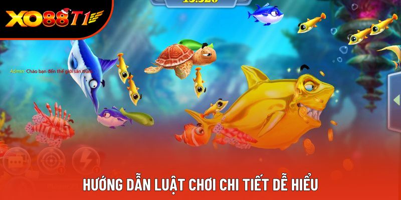Hướng dẫn luật chơi chi tiết dễ hiểu Hướng dẫn luật chơi chi tiết dễ hiểu