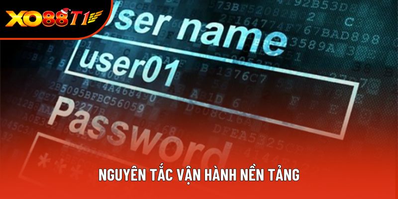 Nguyên tắc vận hành nền tảng